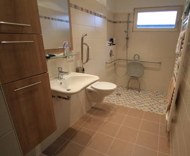 Wheelchair-friendly private bathroom (Fundo Primo, building board) Wheelchair-friendly private bathroom (Fundo Primo, building board)